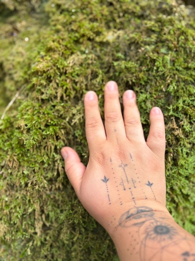 Mão tocando musgo verde em uma superfície natural